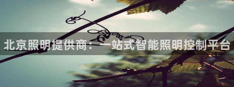 北京照明提供商:一站式智能照明控制平台